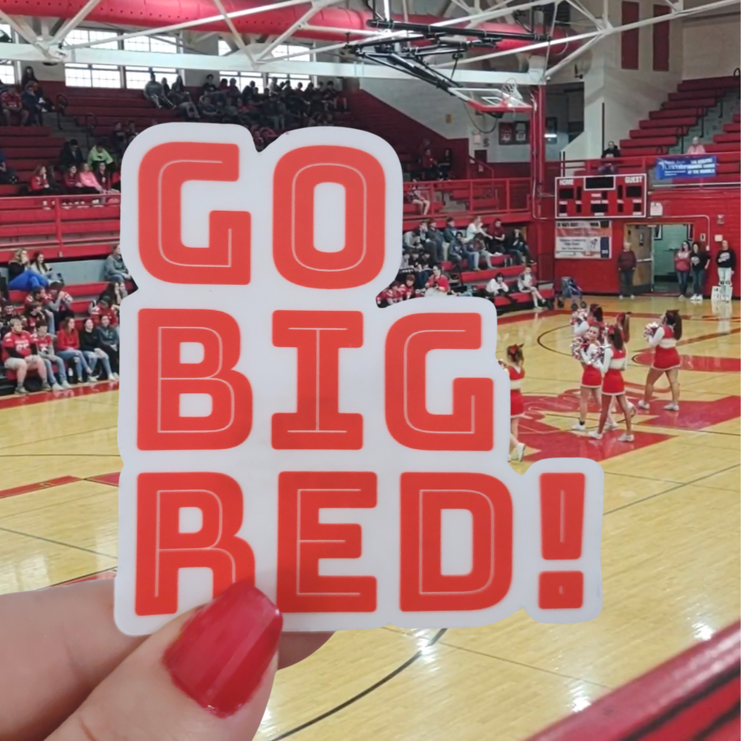 GO BIG RED Vinyl Decal