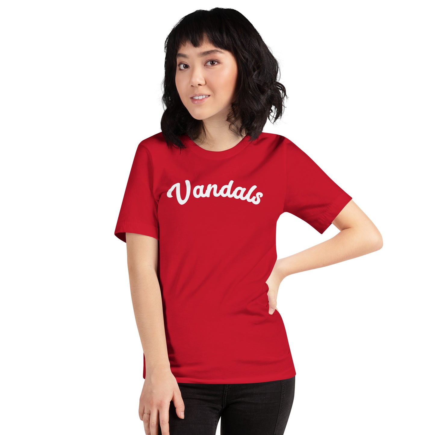 Arched Vandals Unisex t-shirt