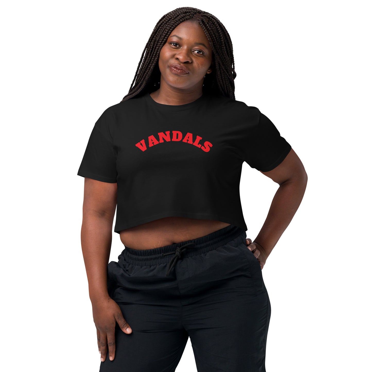 VANDALS Women’s crop top