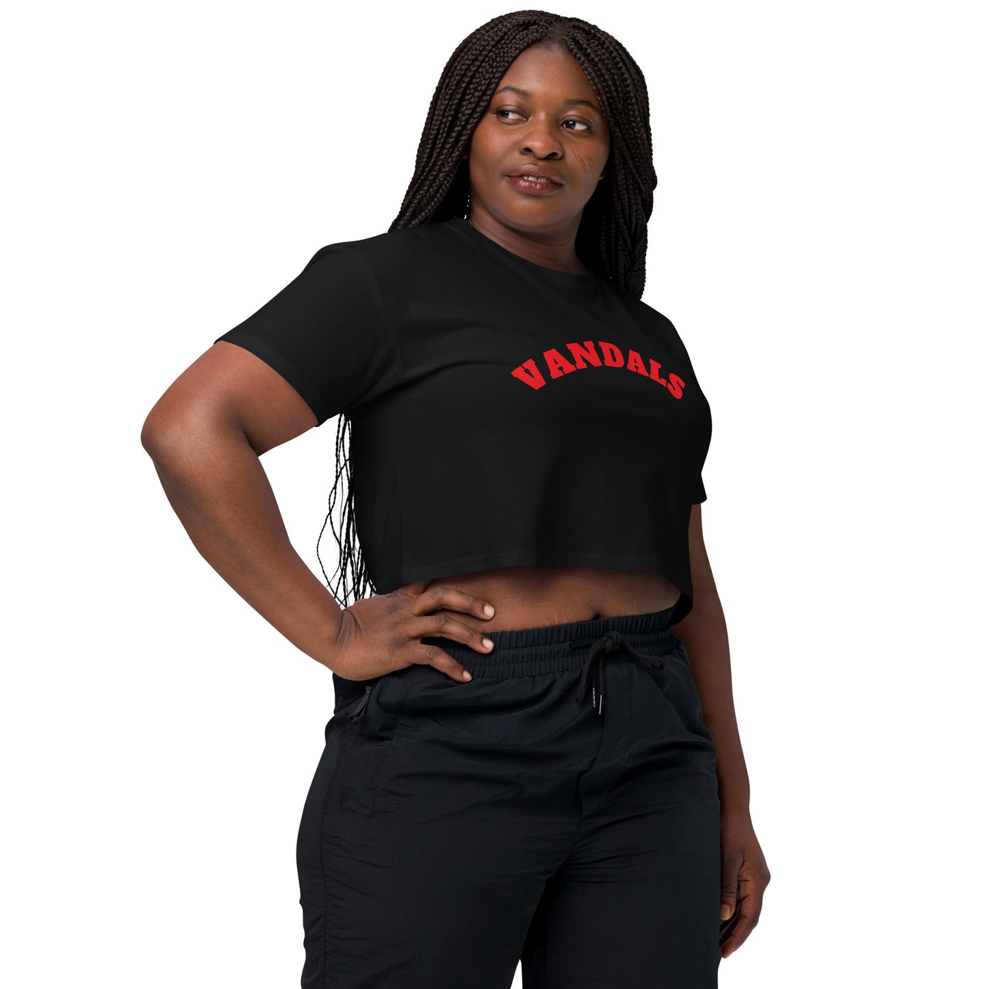 VANDALS Women’s crop top