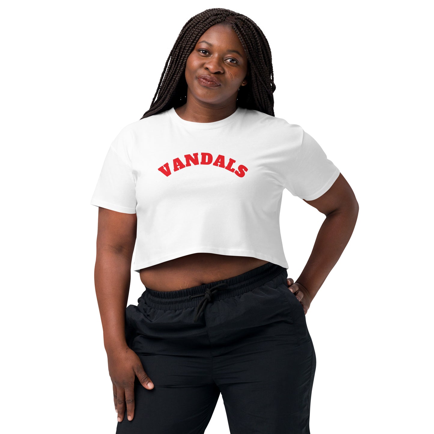 VANDALS Women’s crop top